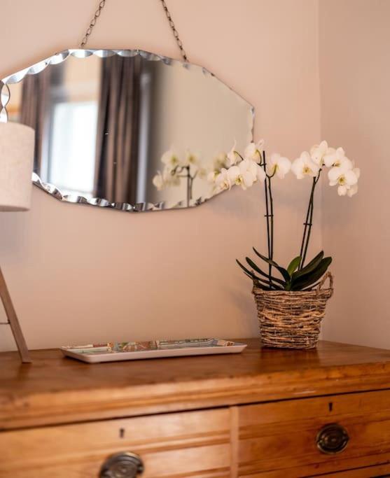 Beautiful & Spacious Retreat In Winchester Bagian luar foto